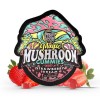 Tre House Magic Mushroom Gummies